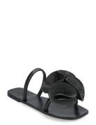 Isernia Black Vacchetta Flate Sandaler Black ATP Atelier