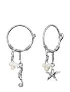 Momi Earrings Øredobber Smykker Silver Maanesten