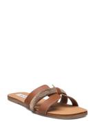 Edriah Sandal Flate Sandaler Brown Steve Madden