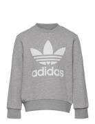 Trefoil Crew Tops Sweat-shirts & Hoodies Sweat-shirts Grey Adidas Orig...