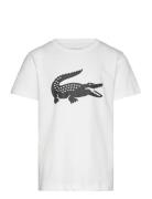 Tee-Shirt&Turtle Sport T-shirts Short-sleeved White Lacoste