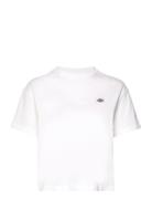 Oakport Tops T-shirts & Tops Short-sleeved White Dickies