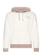 Hco. Guys Sweatshirts Tops Sweat-shirts & Hoodies Hoodies White Hollis...