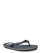 Molokai Core Flip-flopper Sandaler Grey Quiksilver