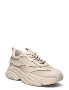 Possess Sneaker Lave Sneakers Beige Steve Madden