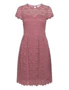 Vikalila Capsleeve Lace Dress - Noos Knelang Kjole Pink Vila