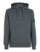 Badge Hoodie Tops Sweat-shirts & Hoodies Hoodies Grey Calvin Klein Jea...