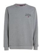 Track Top Hwk Tops Sweat-shirts & Hoodies Sweat-shirts Grey Tommy Hilf...