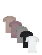 Hco. Guys Knits Tops T-shirts Short-sleeved Black Hollister