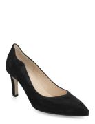 Pumps Shoes Heels Pumps Classic Black Gabor