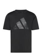 J Tr-Es Pri T Sport T-shirts Short-sleeved Black Adidas Sportswear