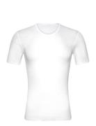 Shirt Tops T-shirts Short-sleeved White Schiesser