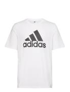 M Bl Sj T Sport T-shirts Short-sleeved White Adidas Sportswear