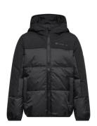 Hooded Jacket Sport Jackets & Coats Puffer & Padded Black Champion