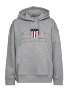 Rel Archive Shield Hoodie Tops Sweat-shirts & Hoodies Hoodies Grey GAN...