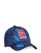 Casquette Accessories Headwear Caps Blue Spider-man