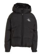 Ck Short Puffer Jacket Fôret Jakke Black Calvin Klein