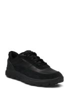 U Spherica Lave Sneakers Black GEOX