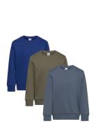 Sweatshirt Basic Solid 3 Pack Tops Sweat-shirts & Hoodies Sweat-shirts...