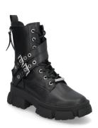 Traction Bootie Shoes Boots Ankle Boots Laced Boots Black Steve Madden