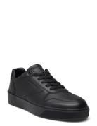 Low Top Lace Up Bskt Lth Lave Sneakers Black Calvin Klein