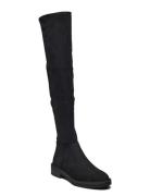 Leza Boots Høye Støvletter Black Steve Madden