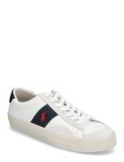 Sayer Leather-Suede Sneaker Lave Sneakers White Polo Ralph Lauren