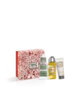 Almond Sweet Gift 2024 Hudpleiesett Nude L'Occitane