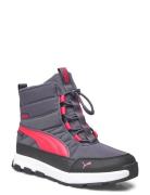 Puma Evolve Boot Puretex Jr Vinterstøvletter Pull On Grey PUMA