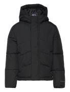 Jjworld Puffer Jacket Mni Fôret Jakke Black Jack & J S