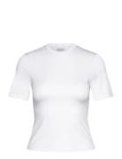 Julia T-Shirt Tops T-shirts & Tops Short-sleeved White Noella