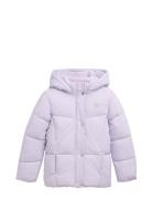 Puffer Jacket Fôret Jakke Purple Tom Tailor