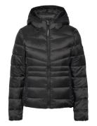 Hooded Fuji Quilt Padded Jkt Fôret Jakke Black Superdry