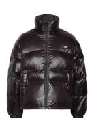 Retro Puffer Caviar Fôret Jakke Black LEVI´S Women