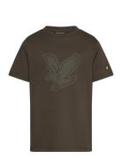 Graphic Eagle T-Shirt Tops T-shirts Short-sleeved Green Lyle & Scott