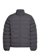 Ayu Padded Jacket Fôret Jakke Black Daily Paper