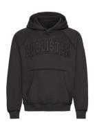 Hco. Guys Sweatshirts Tops Sweat-shirts & Hoodies Hoodies Brown Hollis...