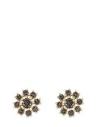 Trinnie Round Ear G/Black - Accessories Jewellery Earrings Studs Black...