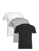 Stretch Vn Tee Ss 3Pack Tops T-shirts Short-sleeved Black Tommy Hilfig...