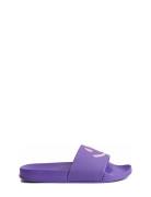 Zhappy Shoes Summer Shoes Sandals Purple Molo