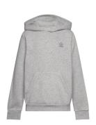 Hoodie Tops Sweat-shirts & Hoodies Hoodies Grey Adidas Originals