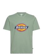 Icon Logo Tee Designers T-shirts Short-sleeved Green Dickies