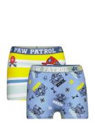 Boxer Night & Underwear Underwear Underpants Multi/patterned Paw Patro...