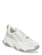 Possession-E Sneaker Lave Sneakers White Steve Madden