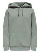 Osjceres Hoodie Swt Noos Tops Sweat-shirts & Hoodies Hoodies Grey ONLY...