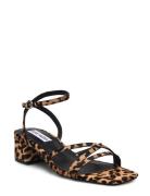 Gabby-L Sandal Sandal Med Hæl Brown Steve Madden