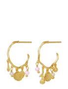 Eve Earrings Accessories Jewellery Earrings Hoops Gold Maanesten