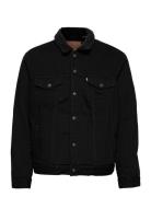 Type 3 Sherpa Trucker Berk She Dongerijakke Denimjakke Black Levi's®
