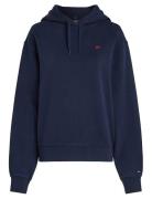 Reg Contrast Flag Hoodie Tops Sweat-shirts & Hoodies Hoodies Navy Tomm...