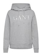 Tonal Graphic Hoodie Tops Sweat-shirts & Hoodies Hoodies Grey GANT